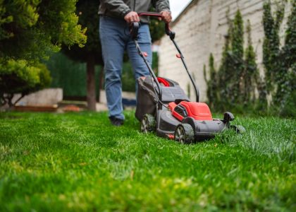 Lawn-Maintenance.jpg